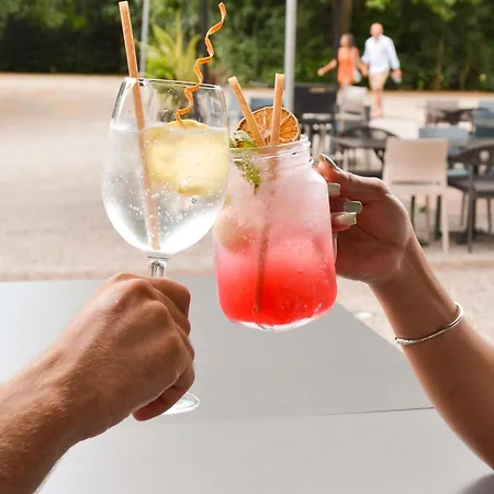 Mercure Centre Compans Hotel